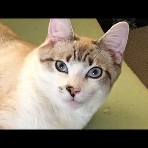 Meet your Posher, Jen